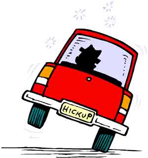 Performance Management vs.Driving vs. Dolphins